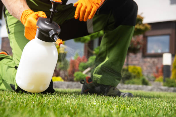 Best Bird Control  in Greenfield, WI