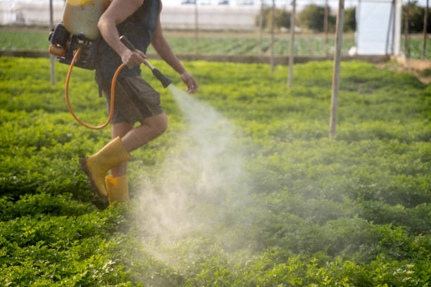 Best Wasp Removal Services  in Greenfield, WI