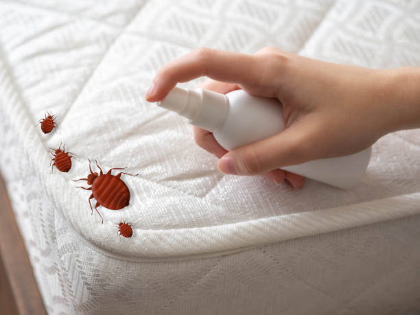Best Pest Removal Services  in Greenfield, WI