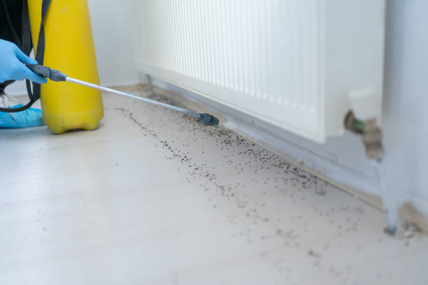 Best Pest Control for Businesses  in Greenfield, WI