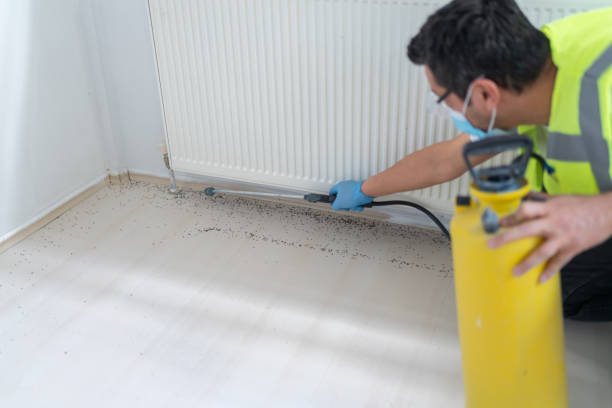 Best Affordable Pest Control Services  in Greenfield, WI
